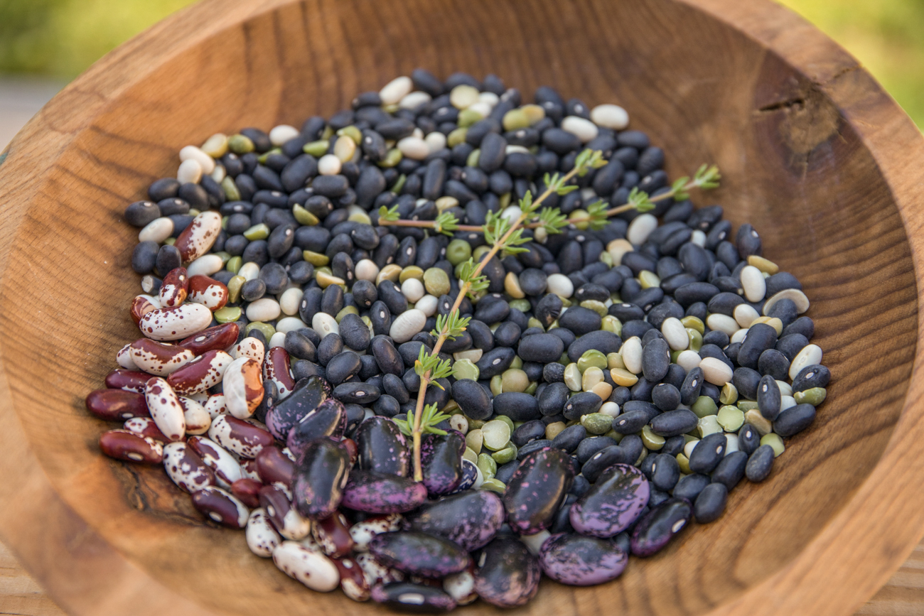 Indigenous Foods and the English Settler Diet