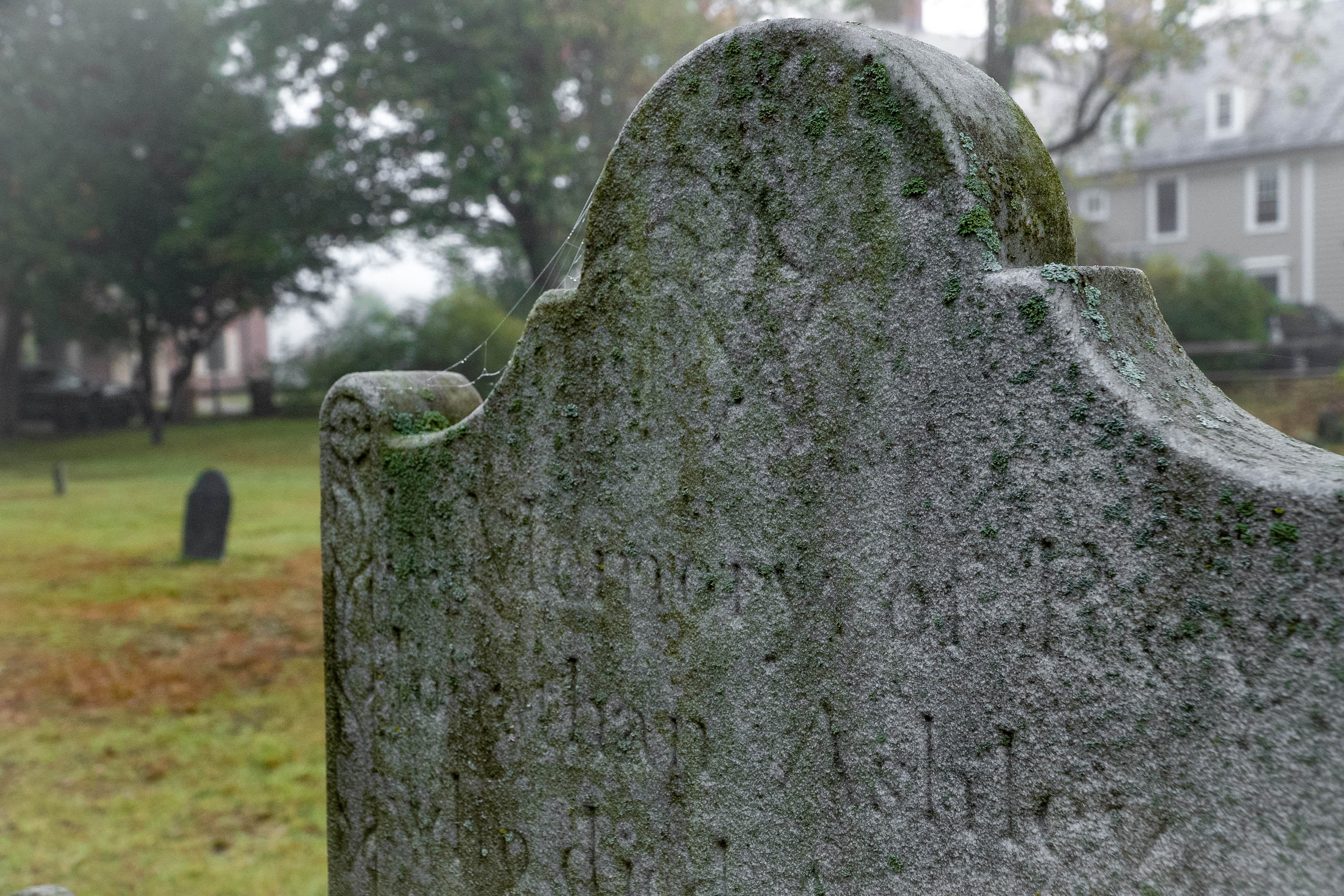Graveyards and Gravestones: An All-Day Special Event